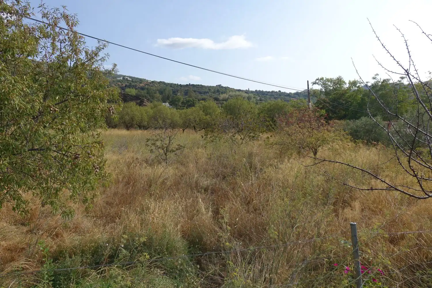 Finca rústica en venta en La Taha