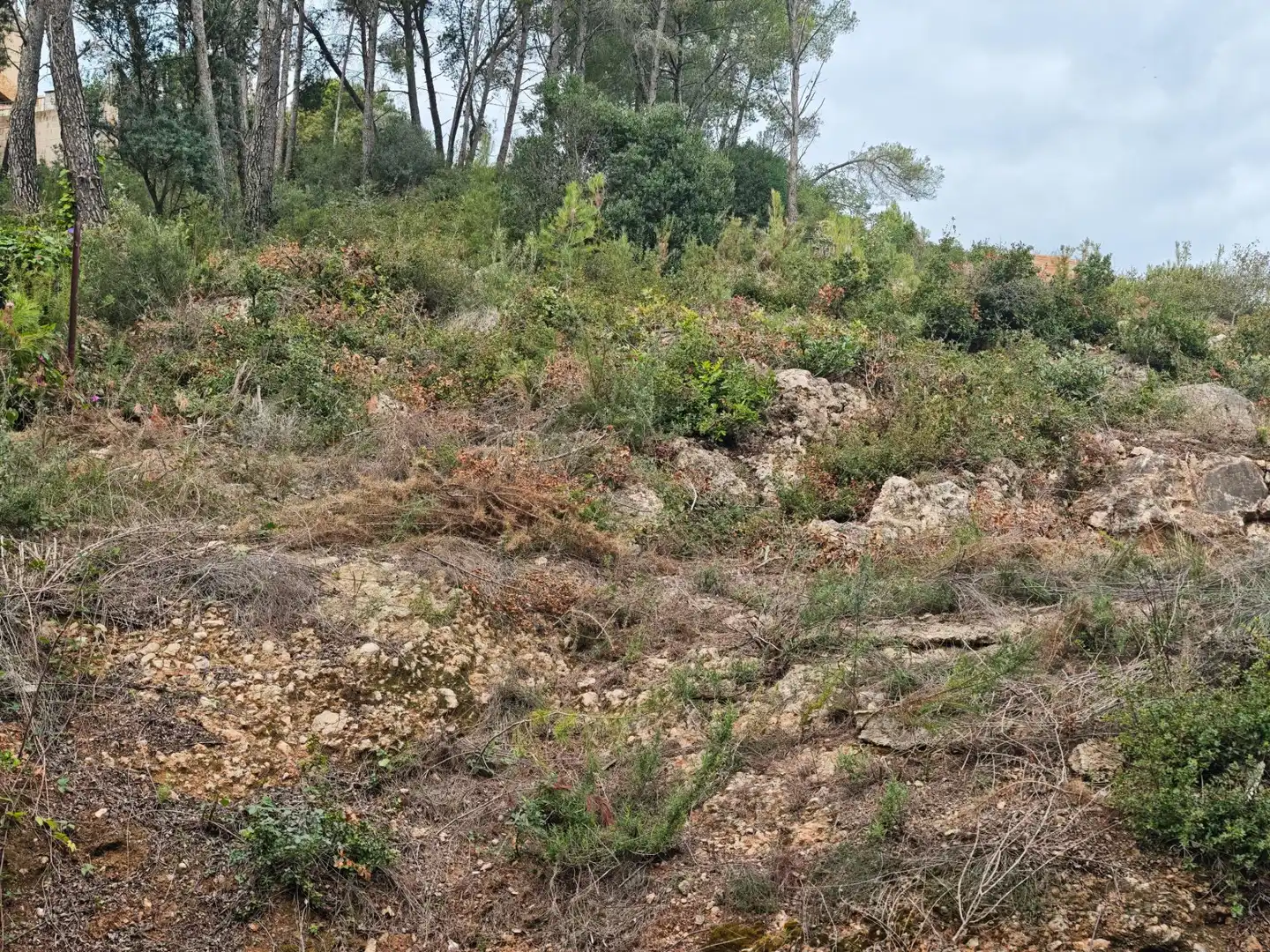 Terreno residencial en venta en Carretera del Remei, imagen 18