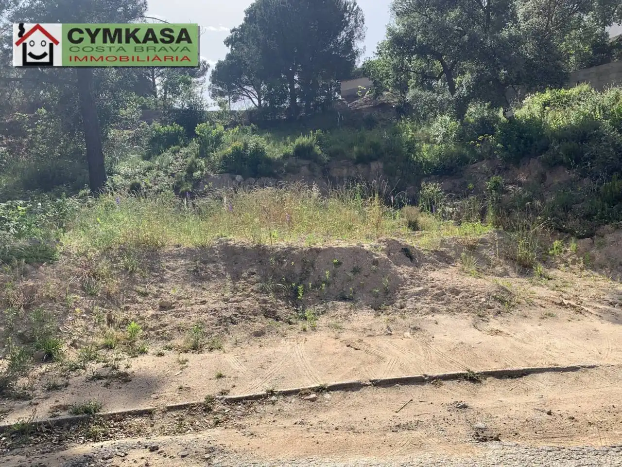 Terreno rustico in vendita a Montbarbat, imagen 10