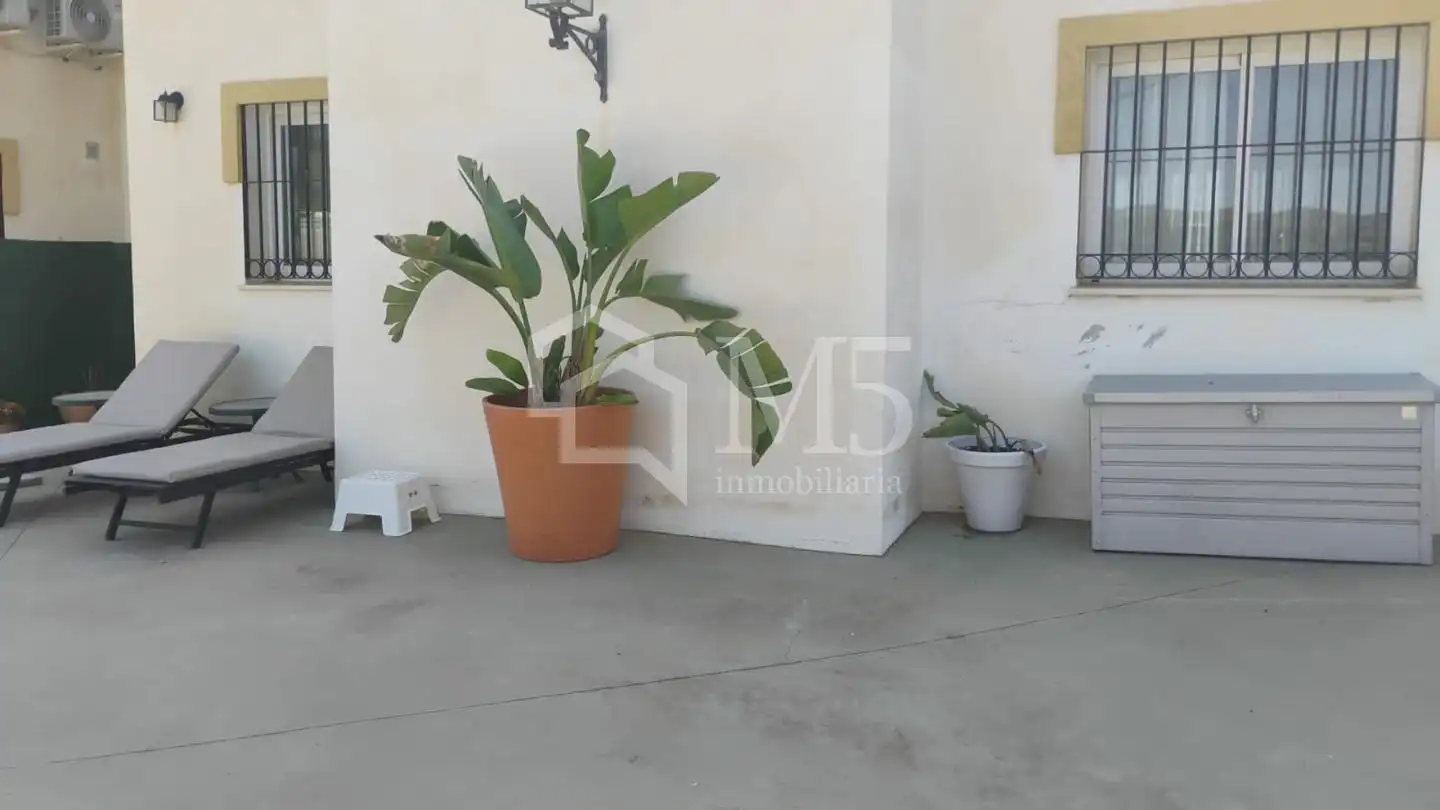 Vista exterior de Casa o chalet de alquiler en Vélez-Málaga con Terraza