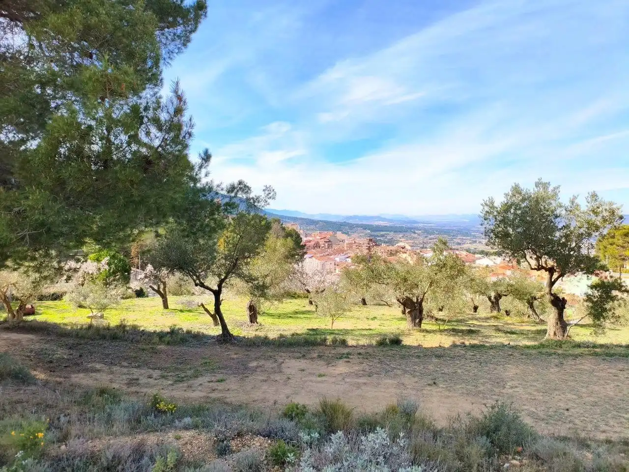 Xalet en venda a Banyeres de Mariola, imagen 28
