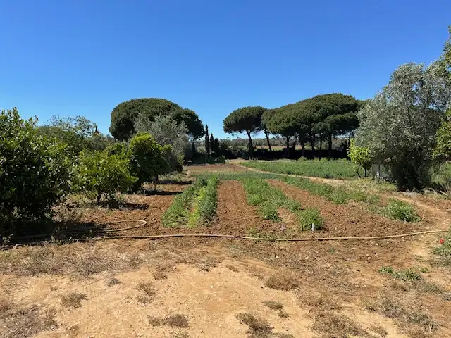 Finca rústica en venta en Vejer de la Frontera