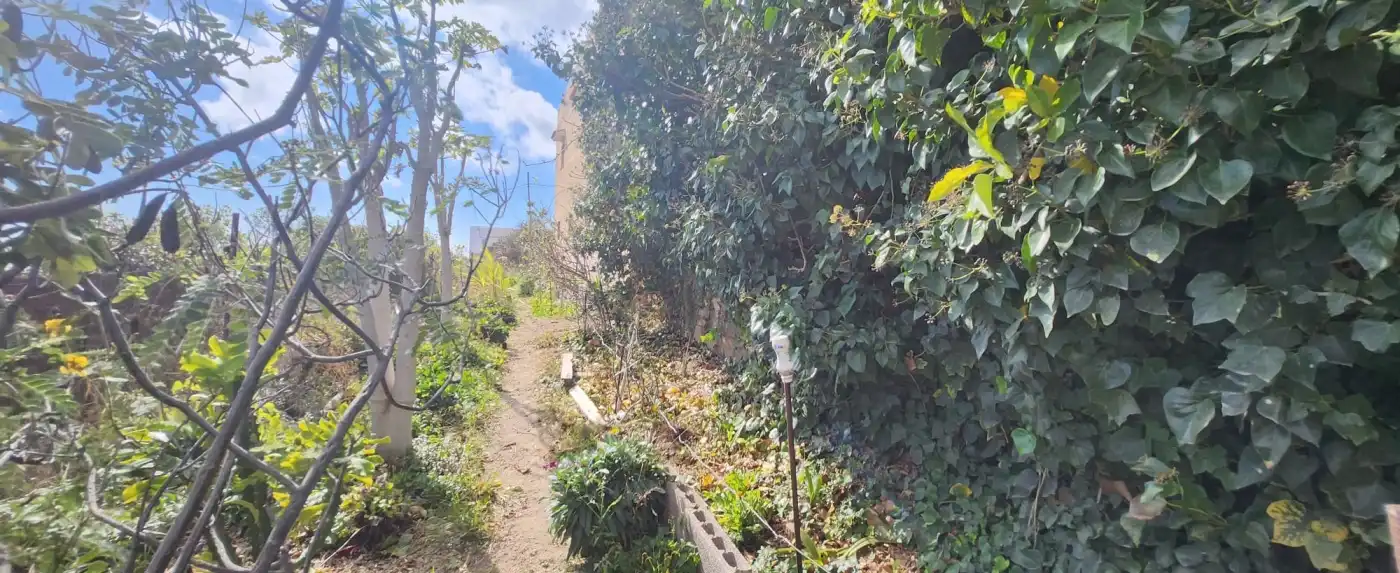 Terreno rustico in vendita a Vial Camino, imagen 22