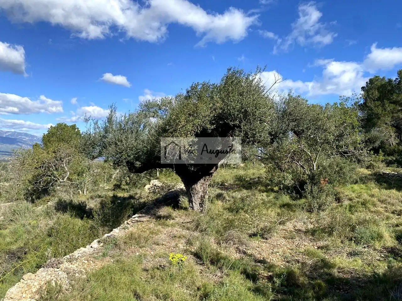 Terreny rústic en venda a Bítem, imagen 32