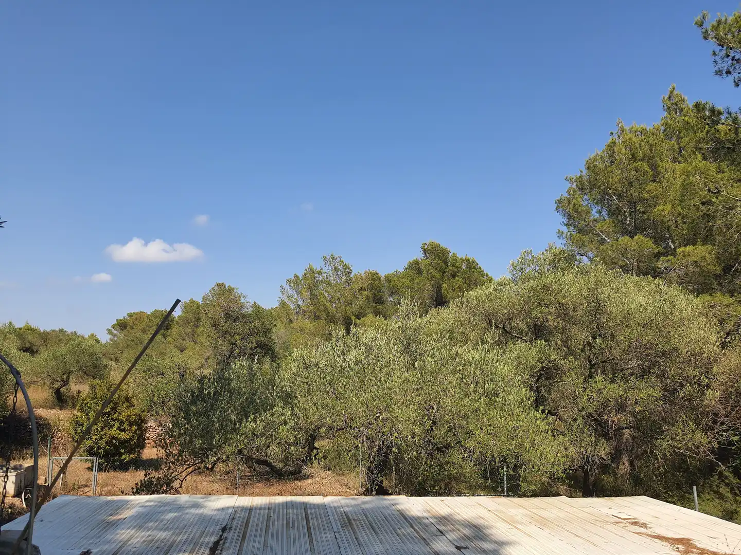 Terreno rústico en venta en Bonmont Terres Noves, imagen 4