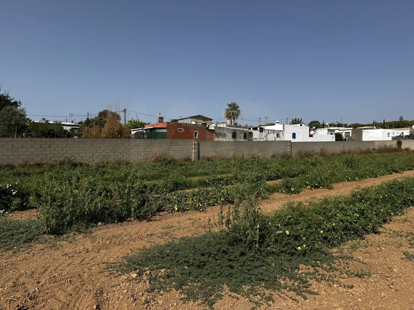 Casa con piscina in vendita a Nord, imagen 24