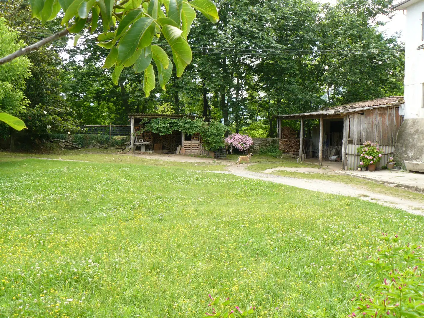 Maison rustique à vendre à La Vall d'en Bas, imagen 10