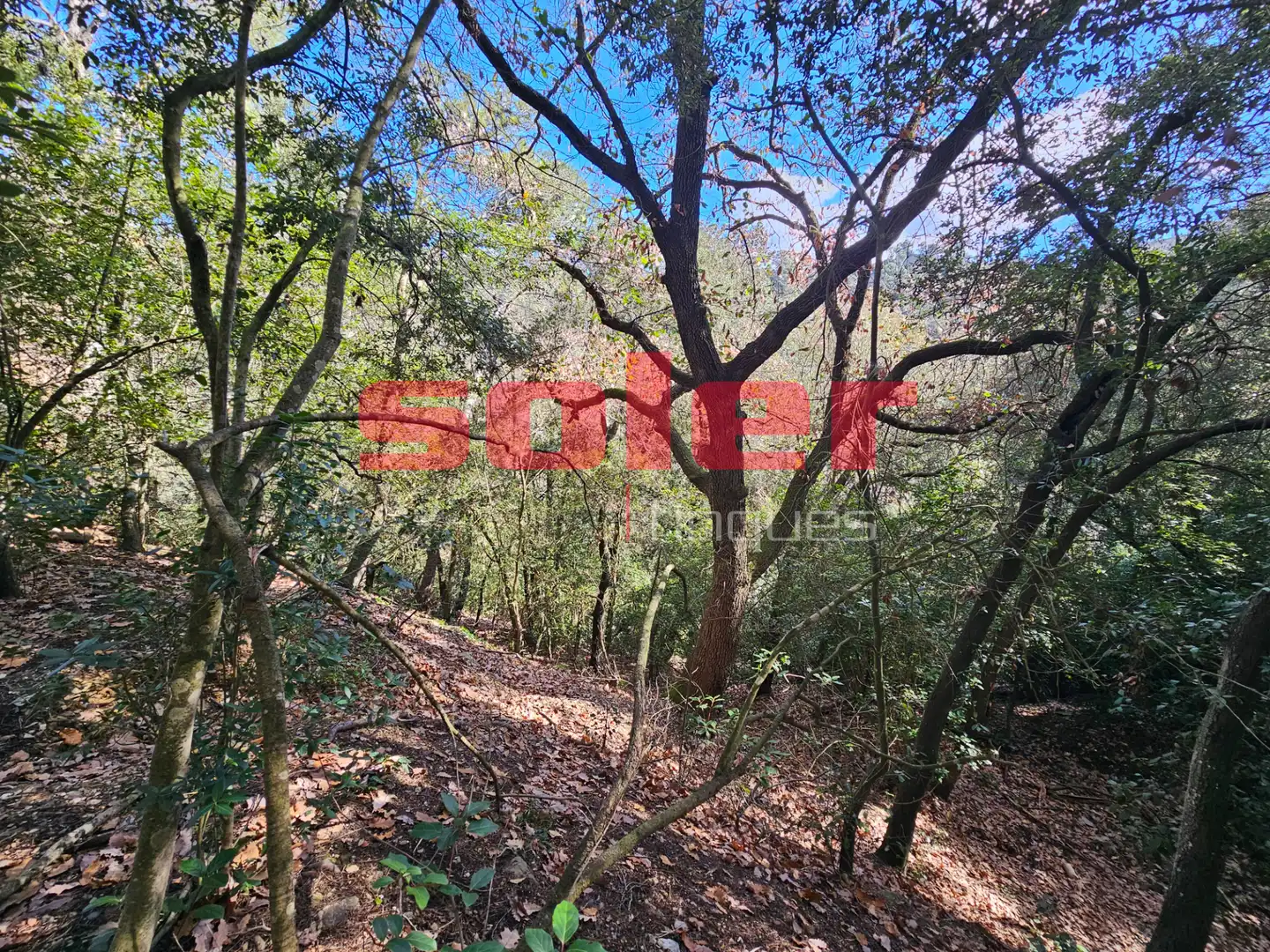 Finca rústica en venta en Barcelona