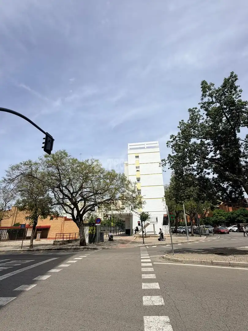Piso de alquiler en PISO calle antoñita colome, Alfalfa - Santa Cruz, Casco Antiguo