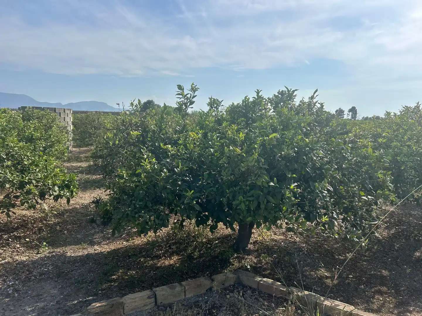 Rural land for sale in Carrer del Pou, imagen 10