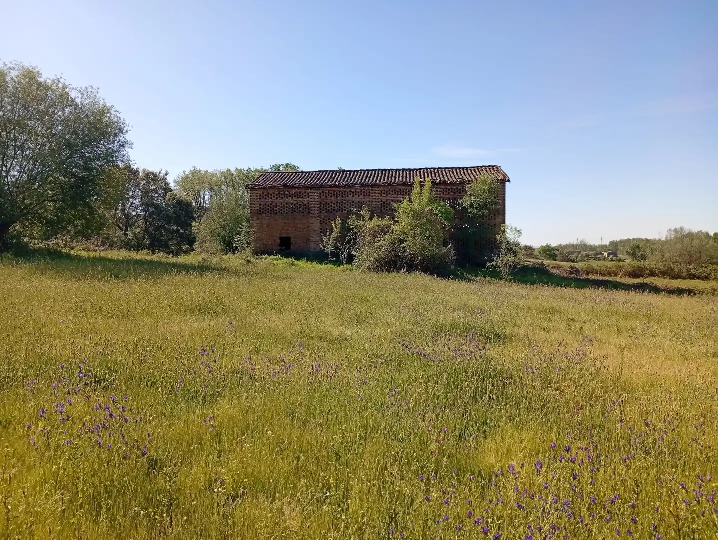 Terreni e lotti in vendita a Talaveruela de la Vera, imagen 78