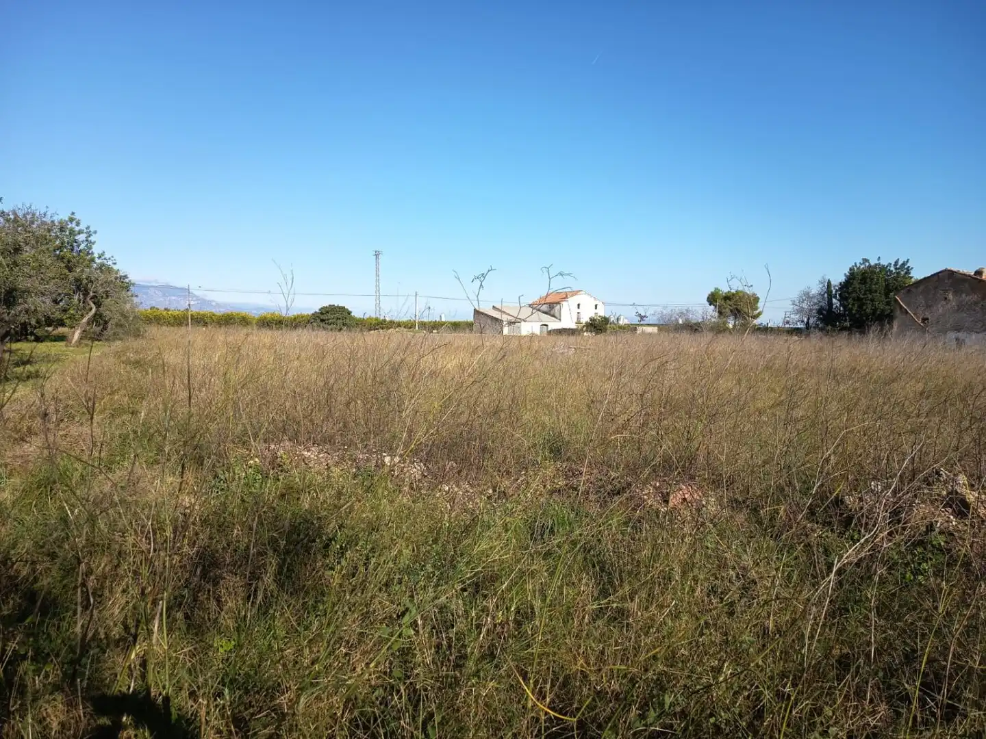 Finca rústica en venta en San Rafael del Río