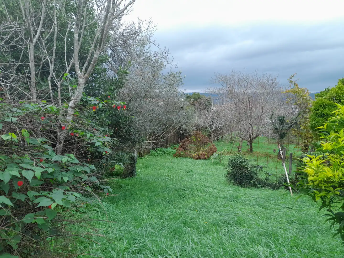 Jardí de Casa o xalet en venda en Pontevedra Capital  amb Moblat