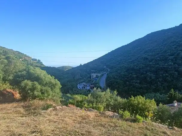 Vista exterior de Terreno en venta en Marbella
