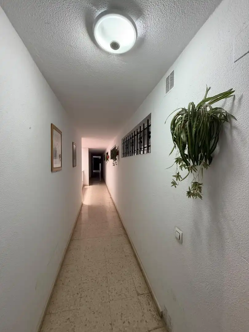 Appartement avec terrasse à vendre à La Pastora - La Estación, imagen 4
