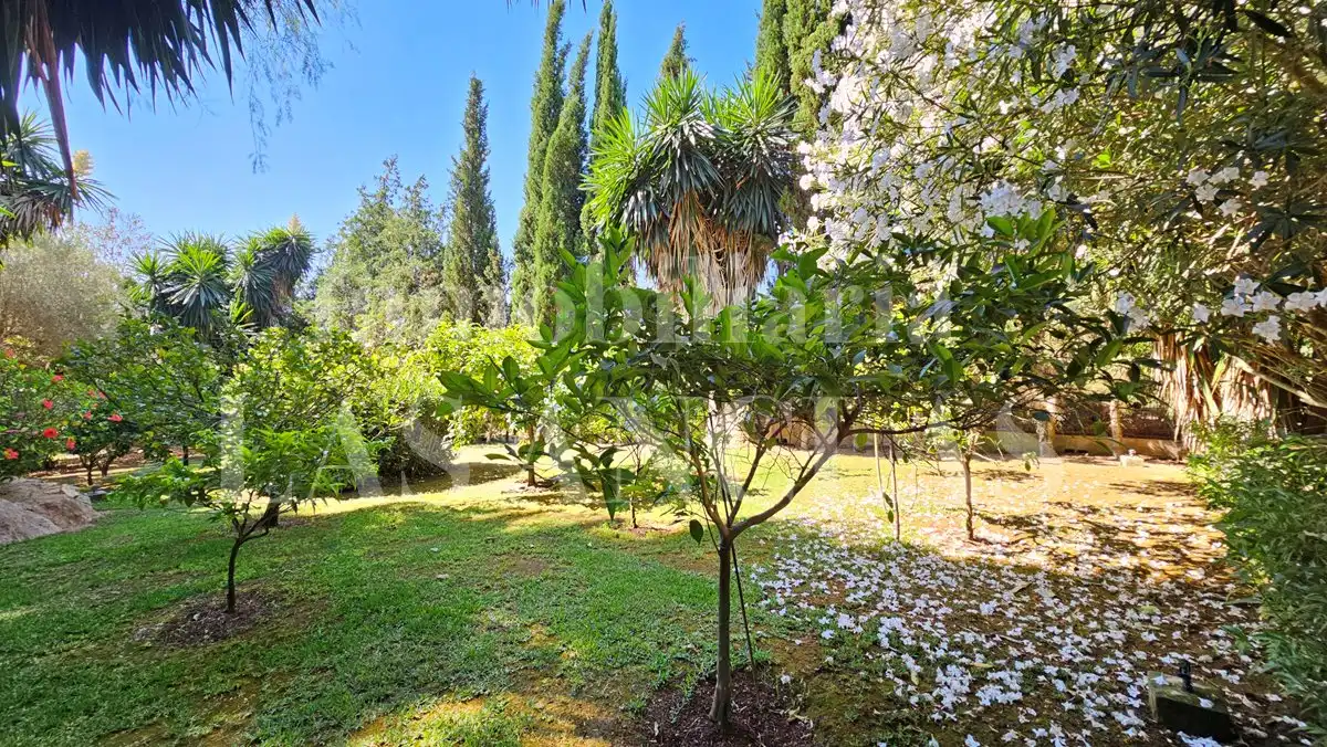 Jardí de Finca rústica en venda en Sant Joan de Labritja amb Aire condicionat, Calefacció i Terrassa
