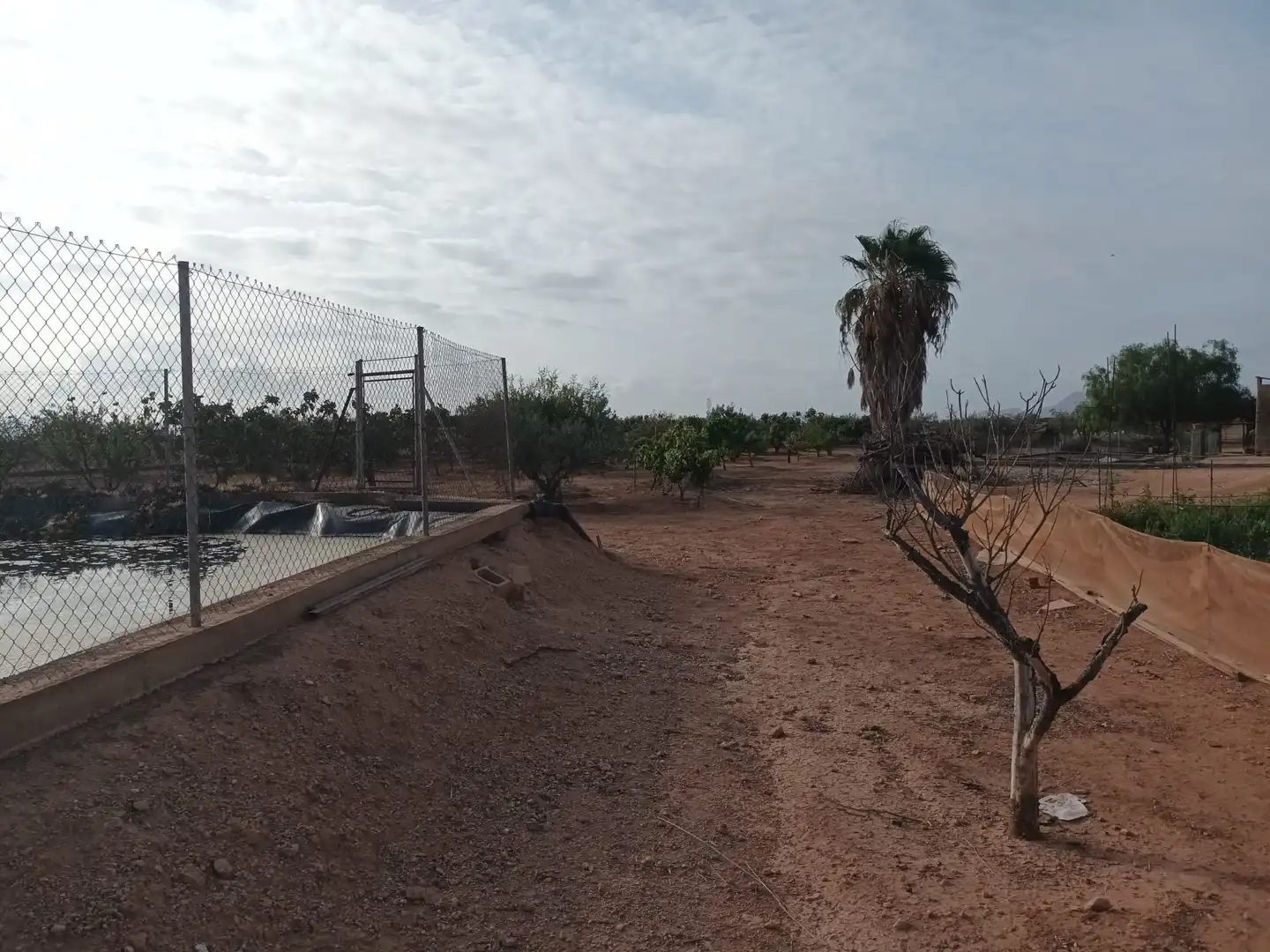 Houses for sale in Cartagena  with Terrace, Swimming Pool and Furnished