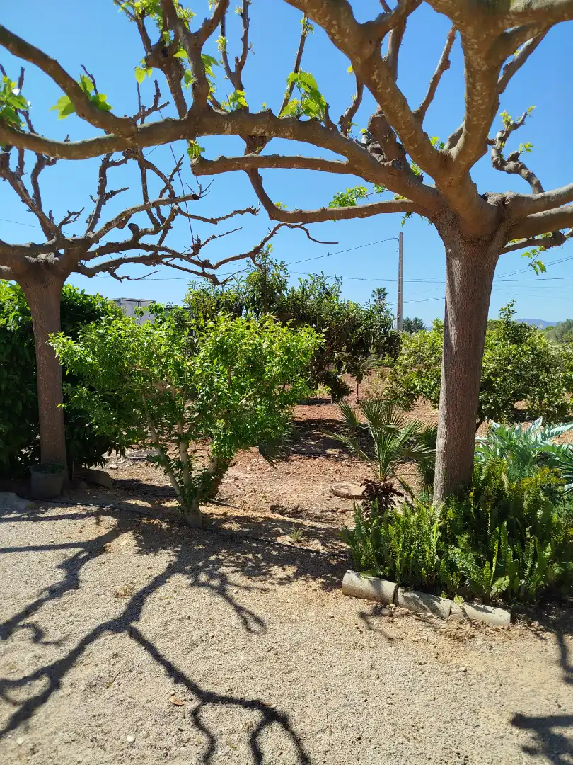 Terreno residencial en venta en Pueblo, imagen 11