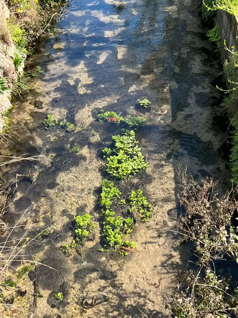 Finca rústica en venta en Urbanizaciones