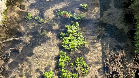 Foto 2 de Finca rústica en venta en Urbanizaciones, Gandia