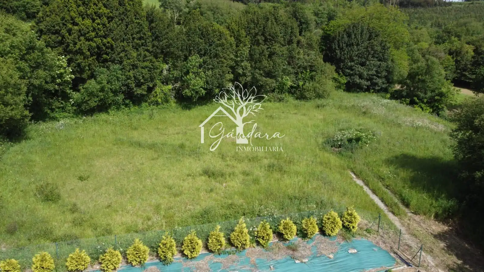 Terrenos y solares en venta en Sedes - Pedroso - Doso