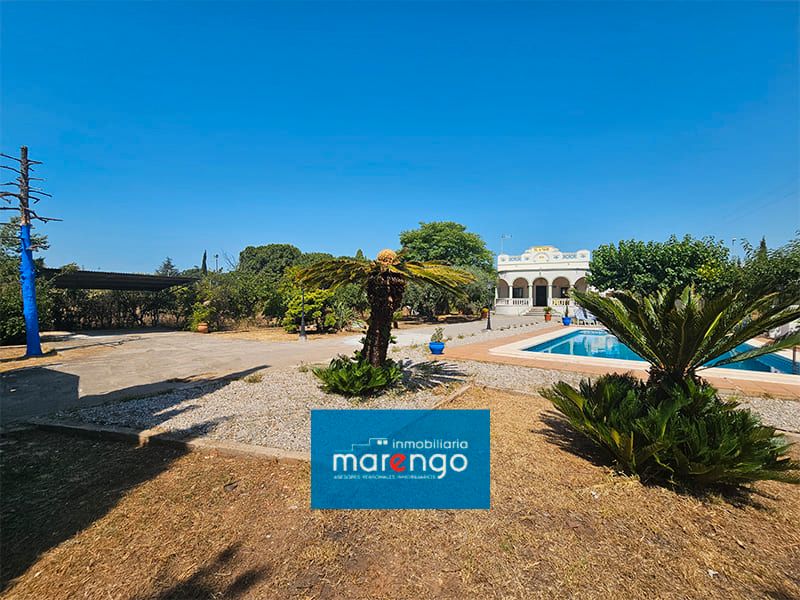 House or chalet to rent in Madrigal , Vila-real