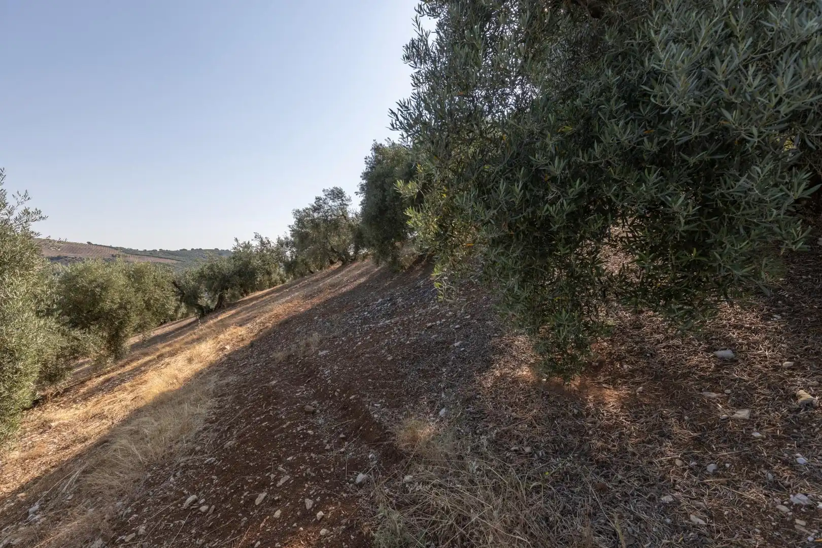 Terreni e lotti in vendita a Lugar Lugar del Cortijo Aguadero, imagen 34