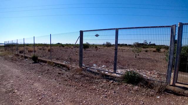 Terreno en Venta en Partida Moli de Vent, 211 en Puçol Ciudad