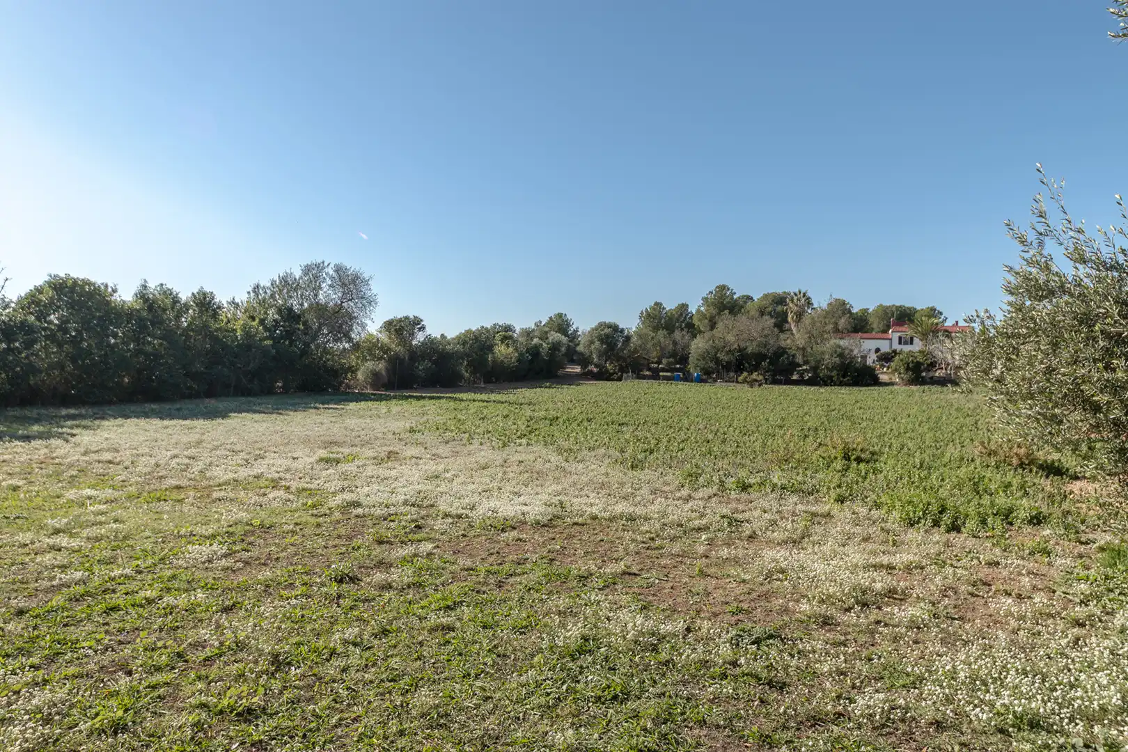 Finca rústica en venda en Banyeres del Penedès amb Jardí privat, Parquet i Piscina