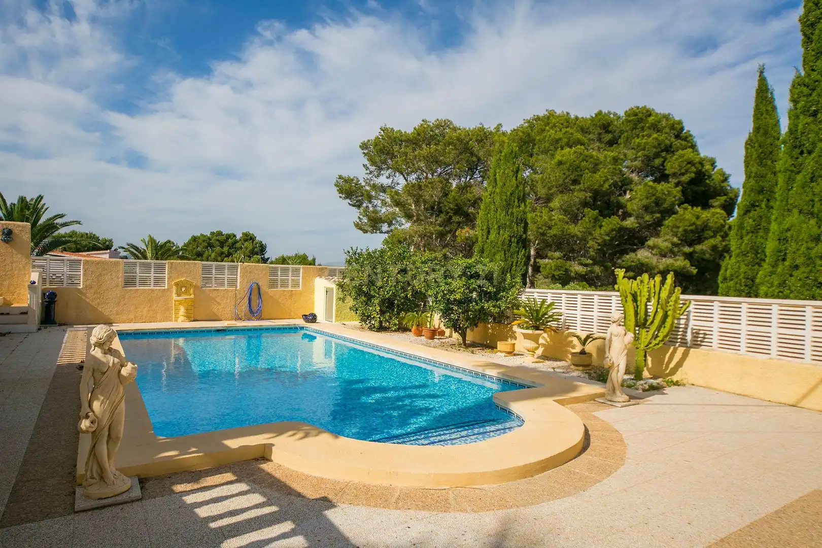 Swimming pool of Apartments for rent in Oltamar - Cucarres