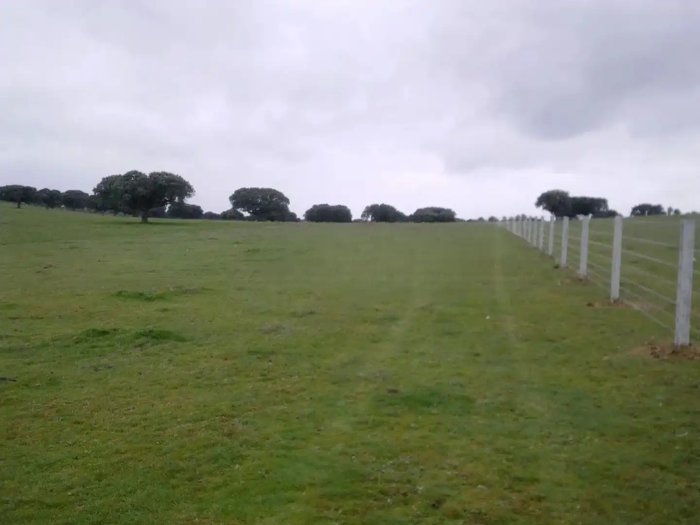 Land for sale in Vistahermosa