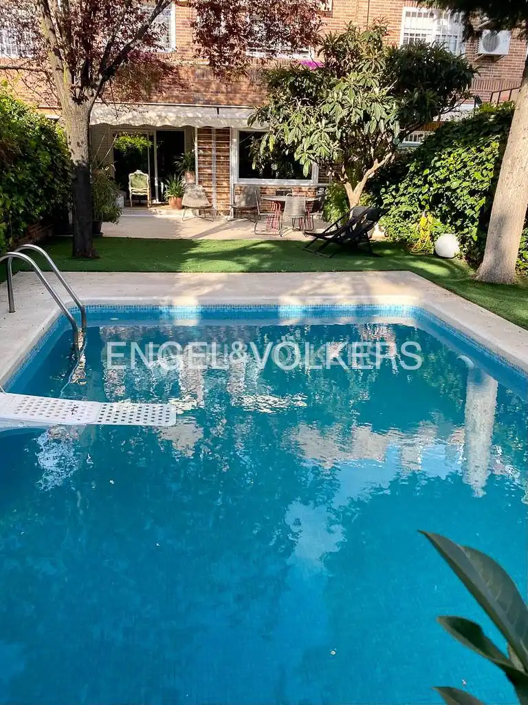 Houses for rent in Palomas