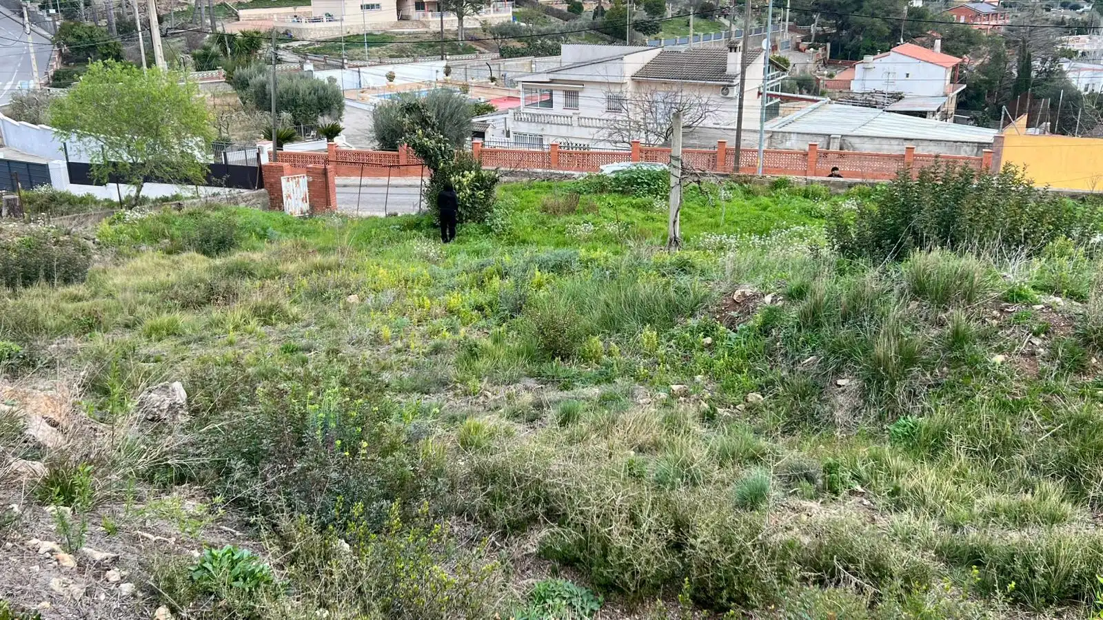 Lands and plots for sale in Avinguda Olesa de Bonesvalls, imagen 7