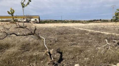 Foto 2 de Terreno en venta en Parcela P.i. Cabecicos Blancos 06-25, Librilla, Murcia