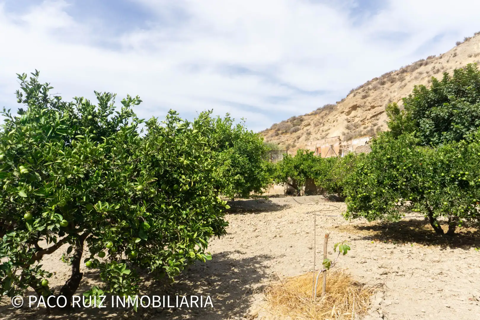 Terreno rustico in vendita a Rioja, imagen 4