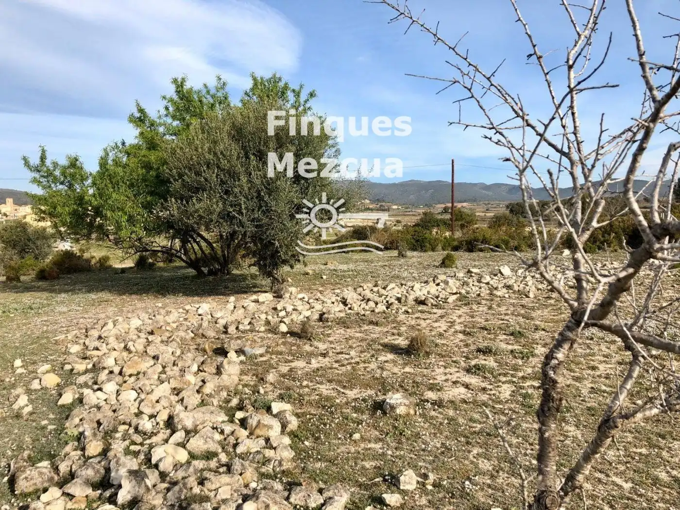 Rural land for sale in Gregal del, imagen 6
