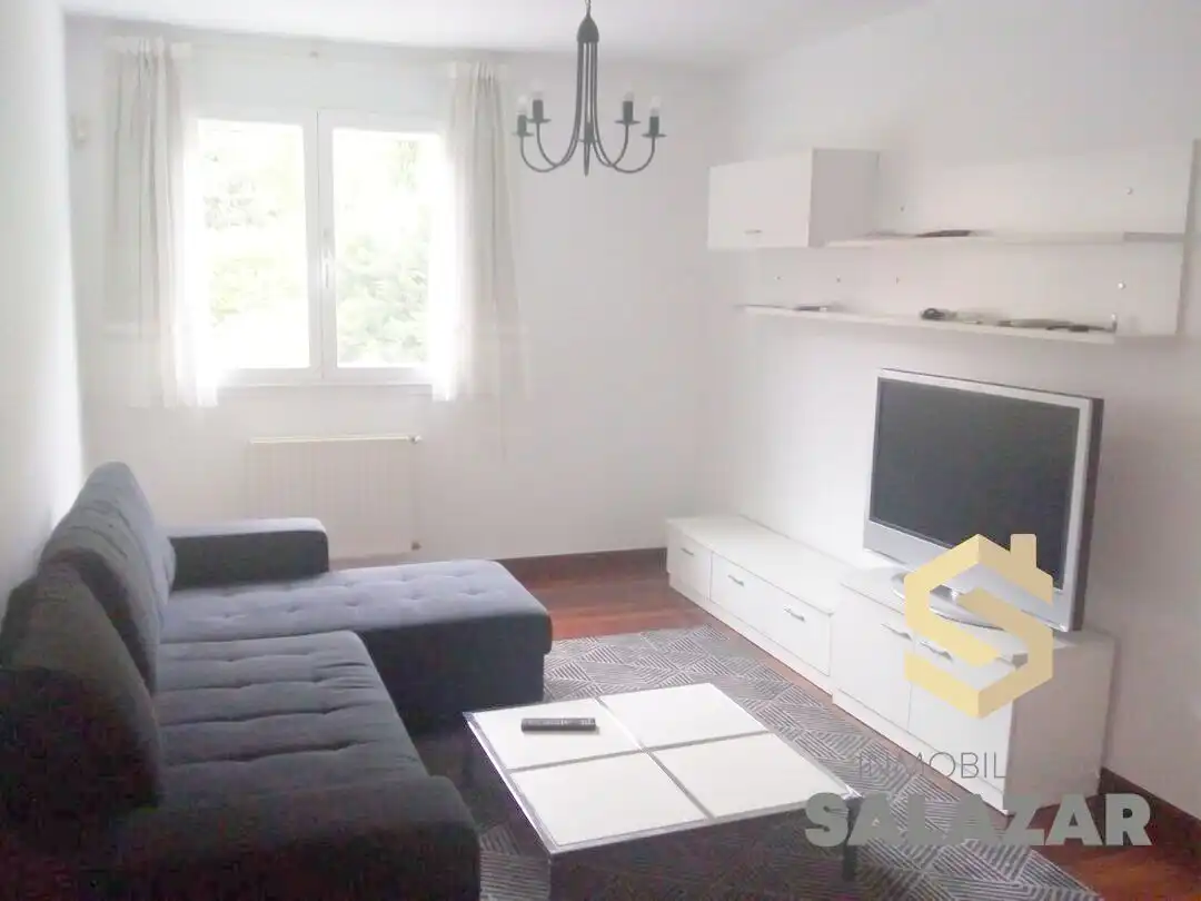 Sala d'estar de Pis de lloguer en Bilbao  amb Calefacció, Jardí privat i Moblat