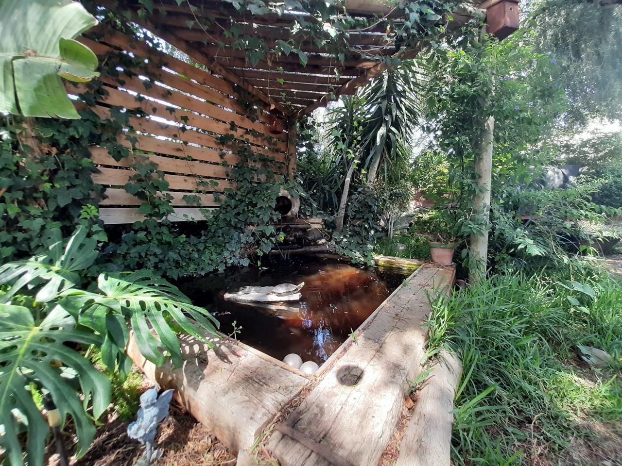 Piscina de Casa o xalet en venda en Granadilla de Abona amb Jardí privat, Terrassa i Traster