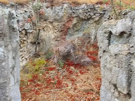Maison à vendre à Benifallet, imagen 39