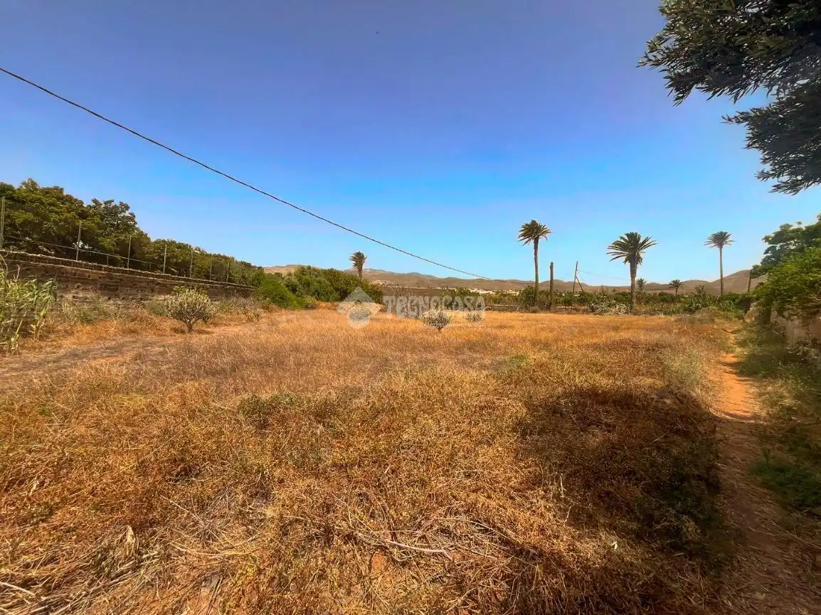 Rural land for sale in Ingenio pueblo, imagen 4