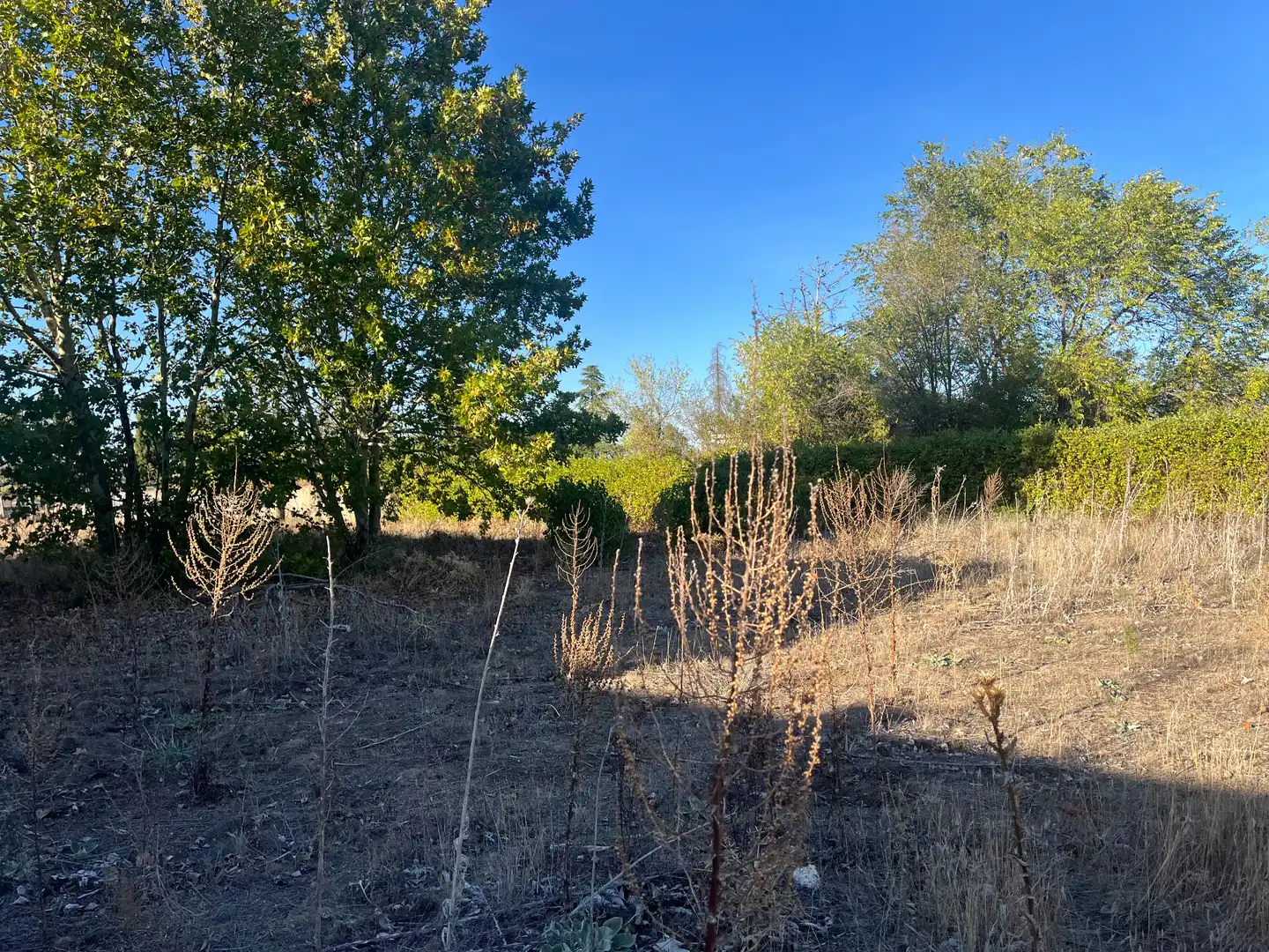 Terreno residenziale in vendita a Camino Pesqueruela 9, imagen 4