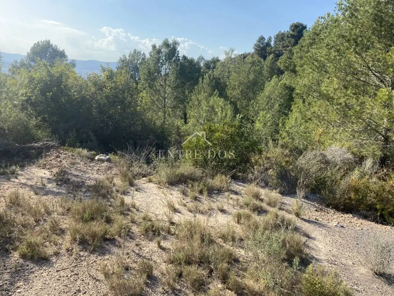 Rural land for sale in 18 parcela 79, imagen 5
