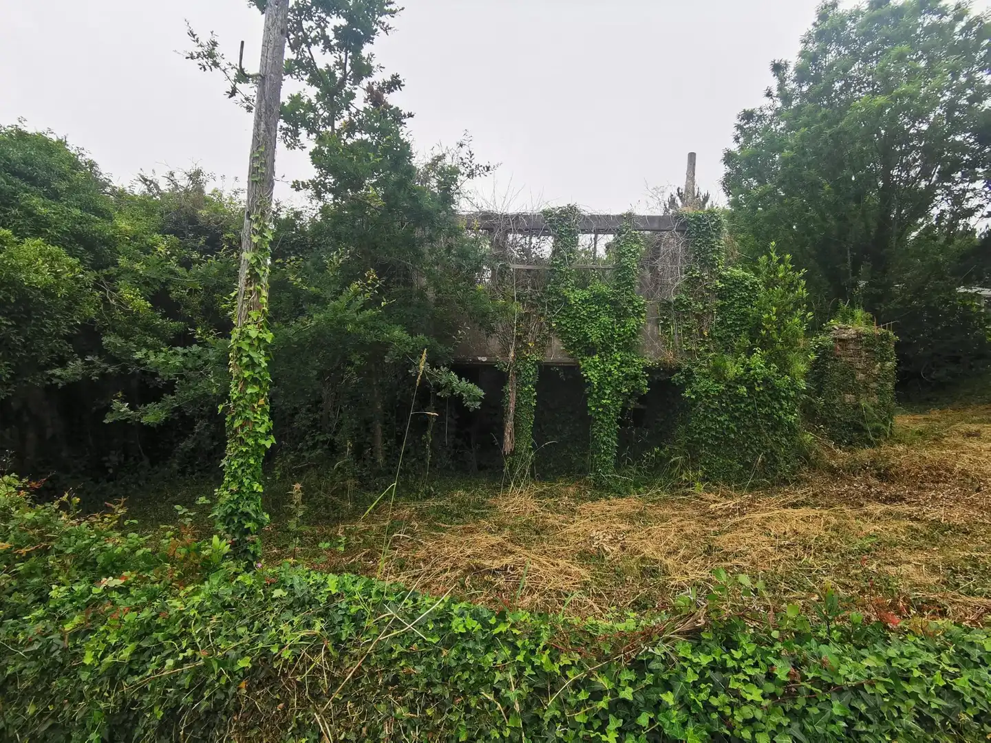 Terreni e lotti in vendita a Lugar CARRACHA, imagen 7