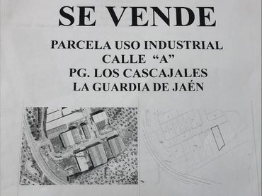 Industriegrundstück zum Verkauf in Calle Torrejón