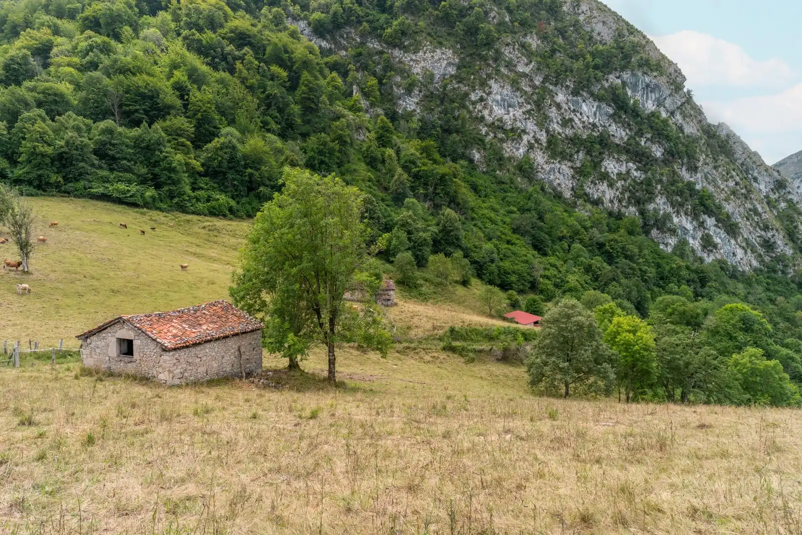 Houses for sale in Amieva