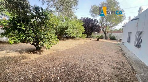 Foto 3 de Casa o xalet en venda a Barrio Nuevo, Conil de la Frontera
