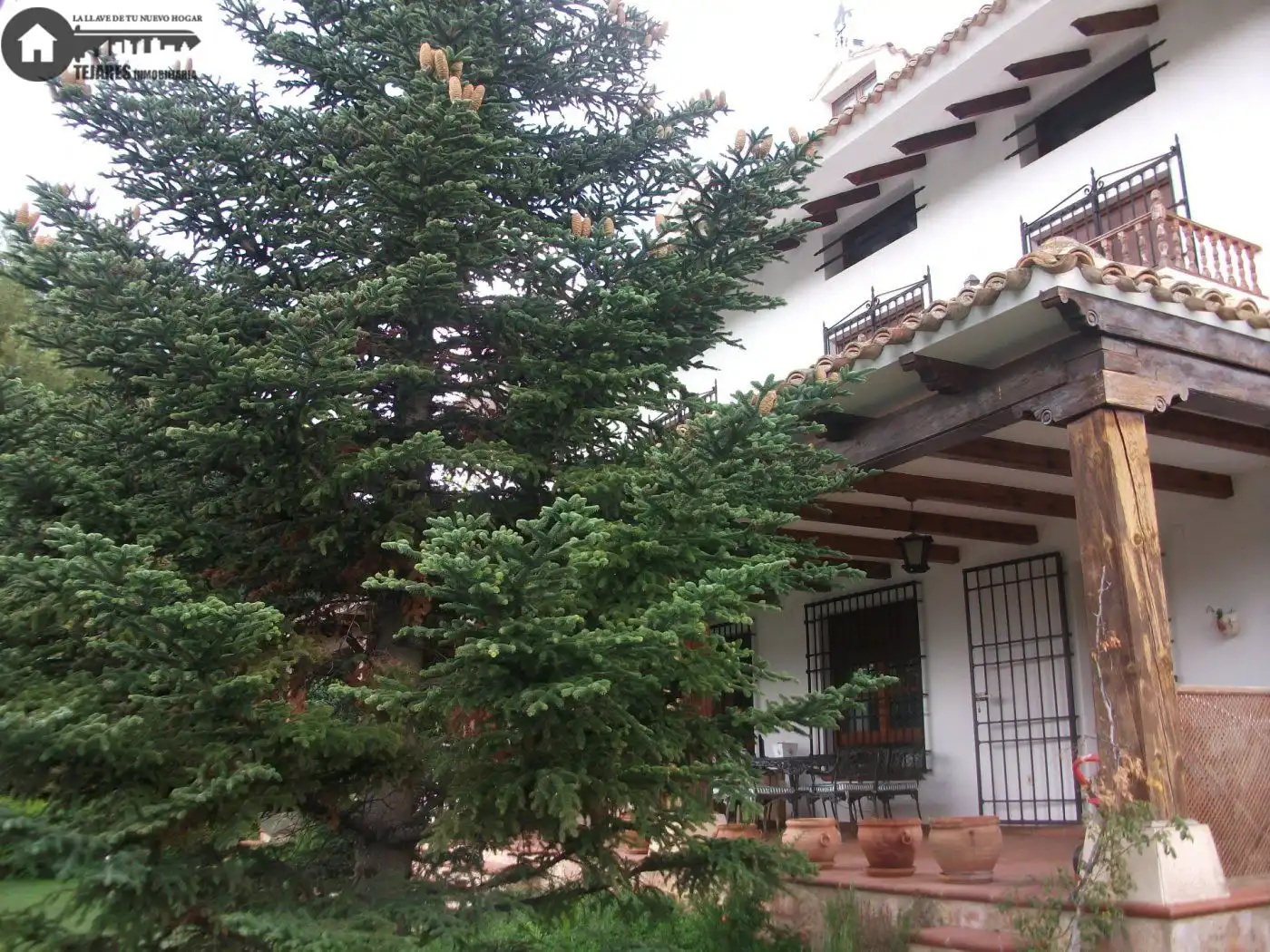 Vista exterior de Casa o chalet en venta en Albacete con Aire acondicionado, Jardín privado y Piscina