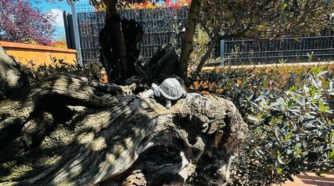 Photo 5 of House or chalet for sale in Carrer D'estepa, Piera, Barcelona