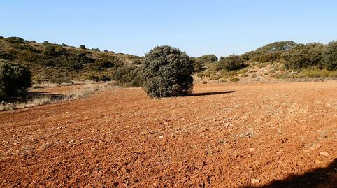 finca en venta 281 has. caza menor en Ruidera (C.Real), immagine 2