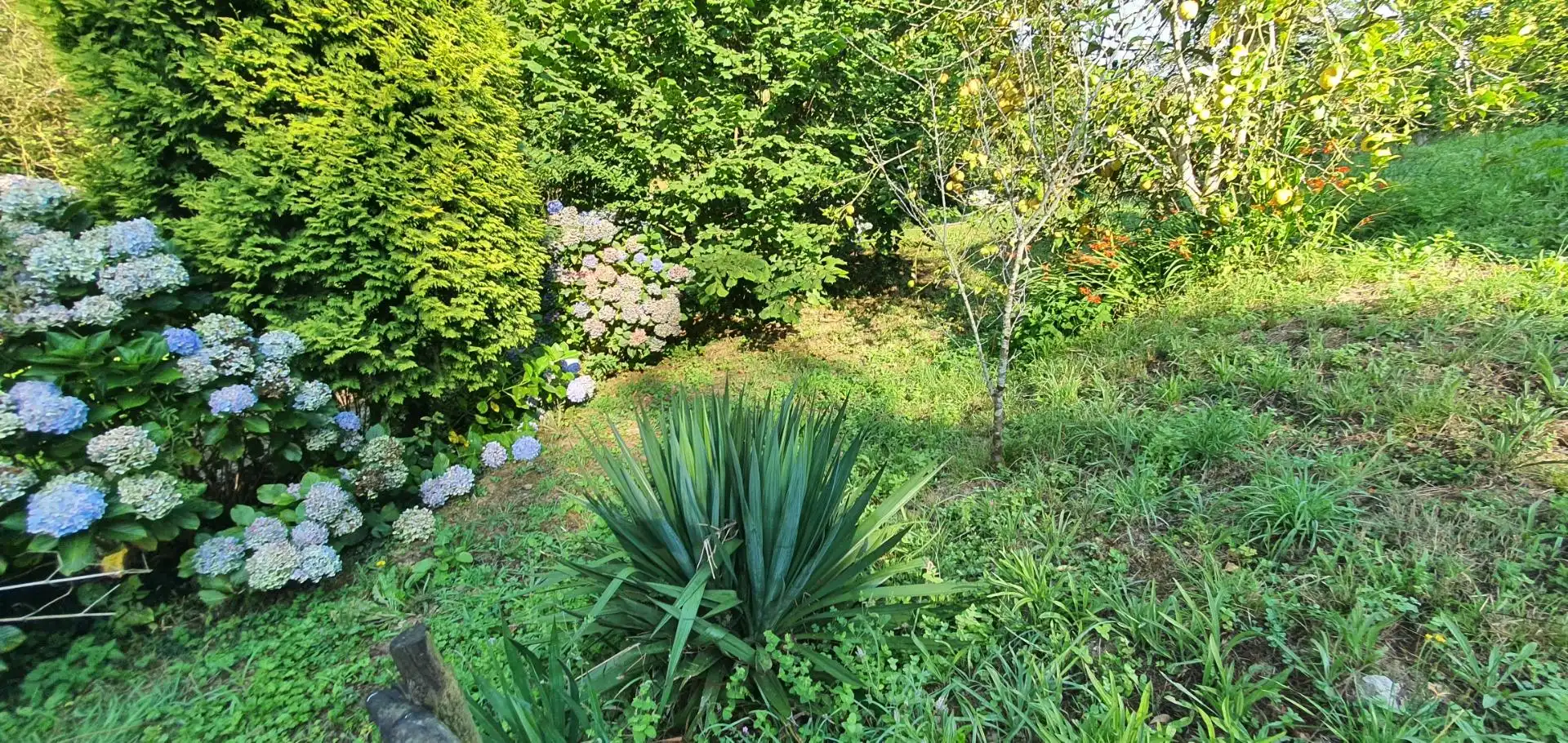 Jardín de Casa o chalet en venta en Castropol con Calefacción, Jardín privado y Terraza